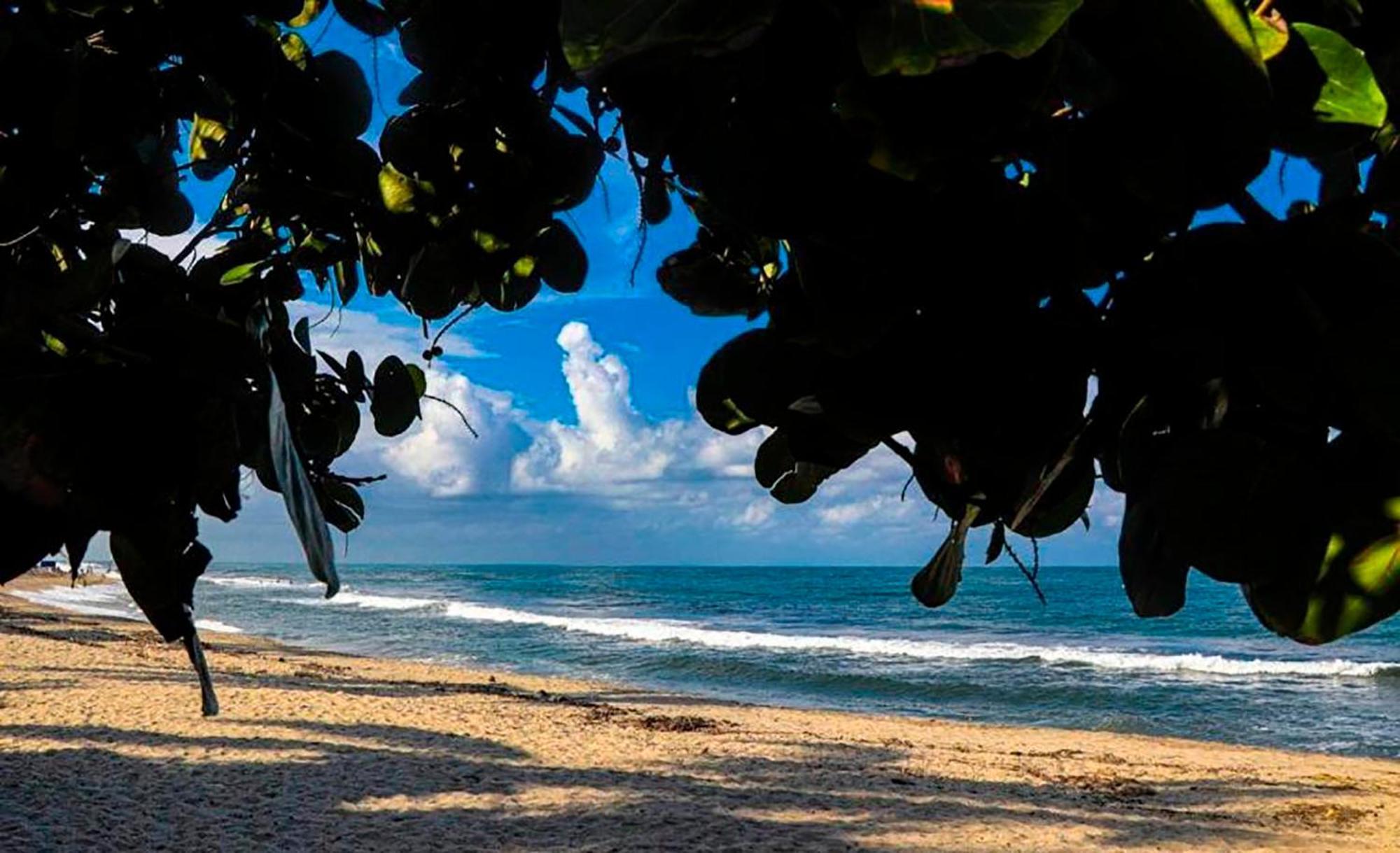 Hostal Mirador Dentro Del Parque Tayrona El Zaino Εξωτερικό φωτογραφία