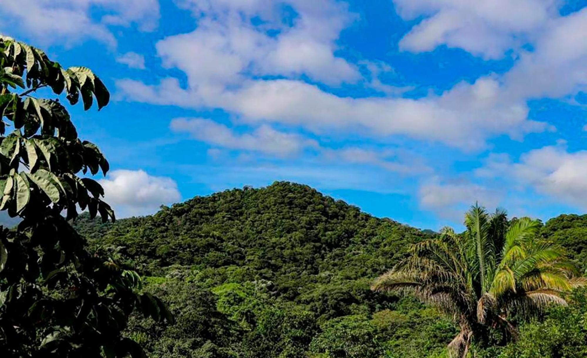 Hostal Mirador Dentro Del Parque Tayrona El Zaino Εξωτερικό φωτογραφία