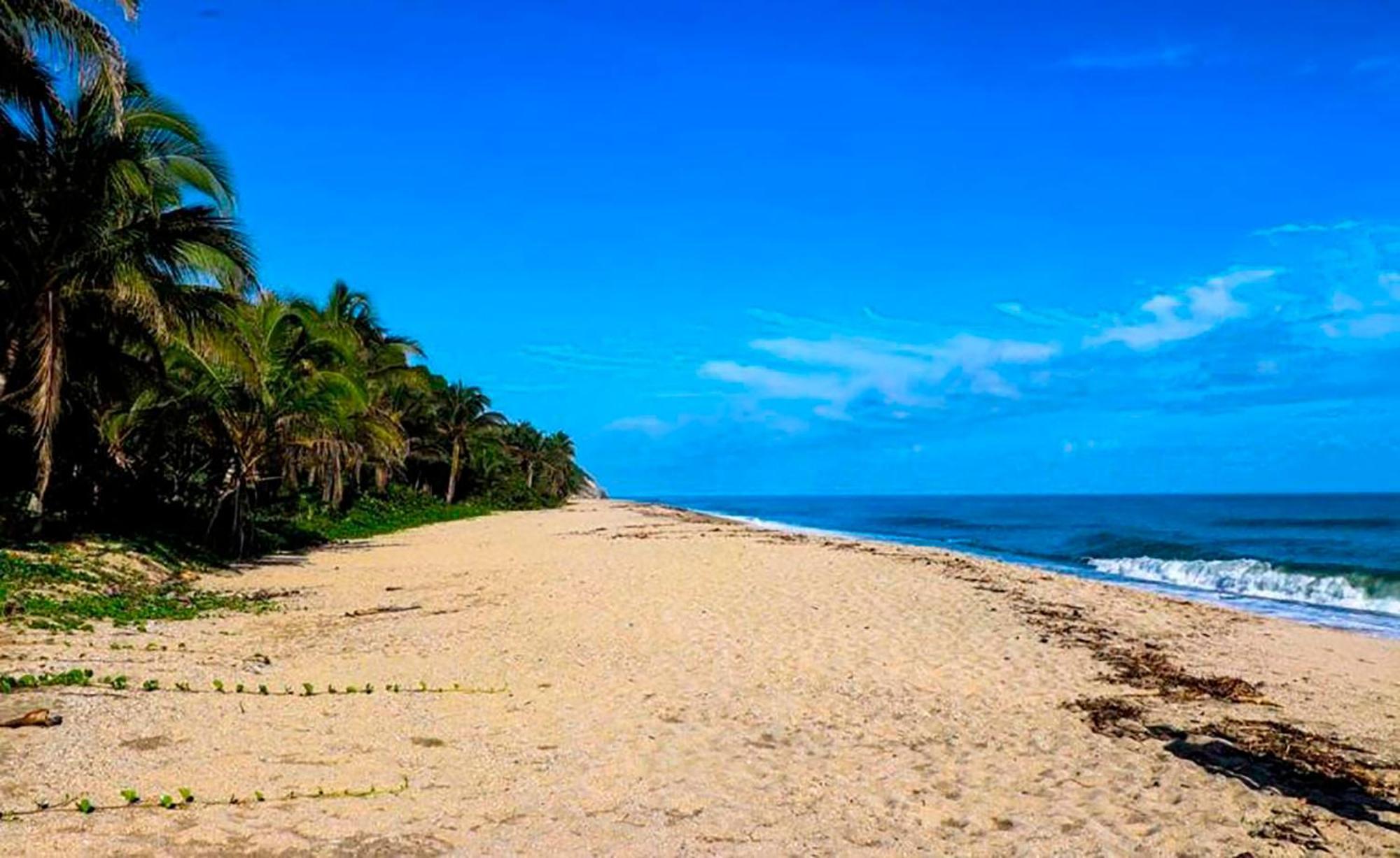 Hostal Mirador Dentro Del Parque Tayrona El Zaino Εξωτερικό φωτογραφία