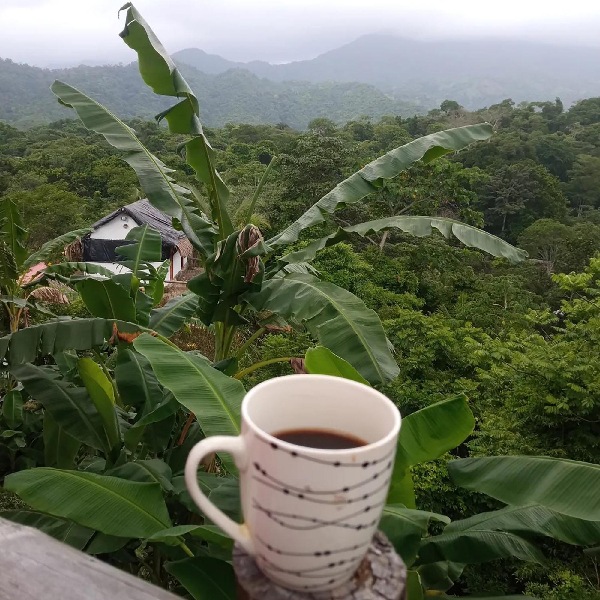 Hostal Mirador Dentro Del Parque Tayrona El Zaino Εξωτερικό φωτογραφία