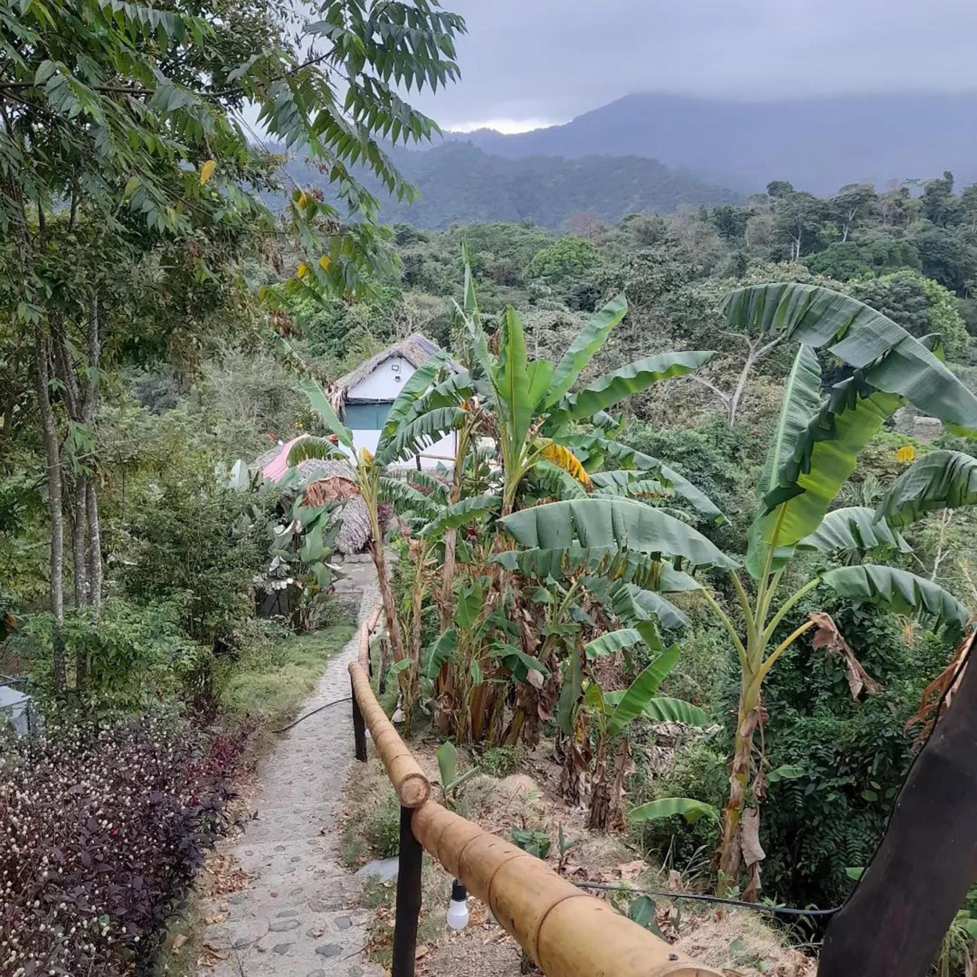 Hostal Mirador Dentro Del Parque Tayrona El Zaino Εξωτερικό φωτογραφία