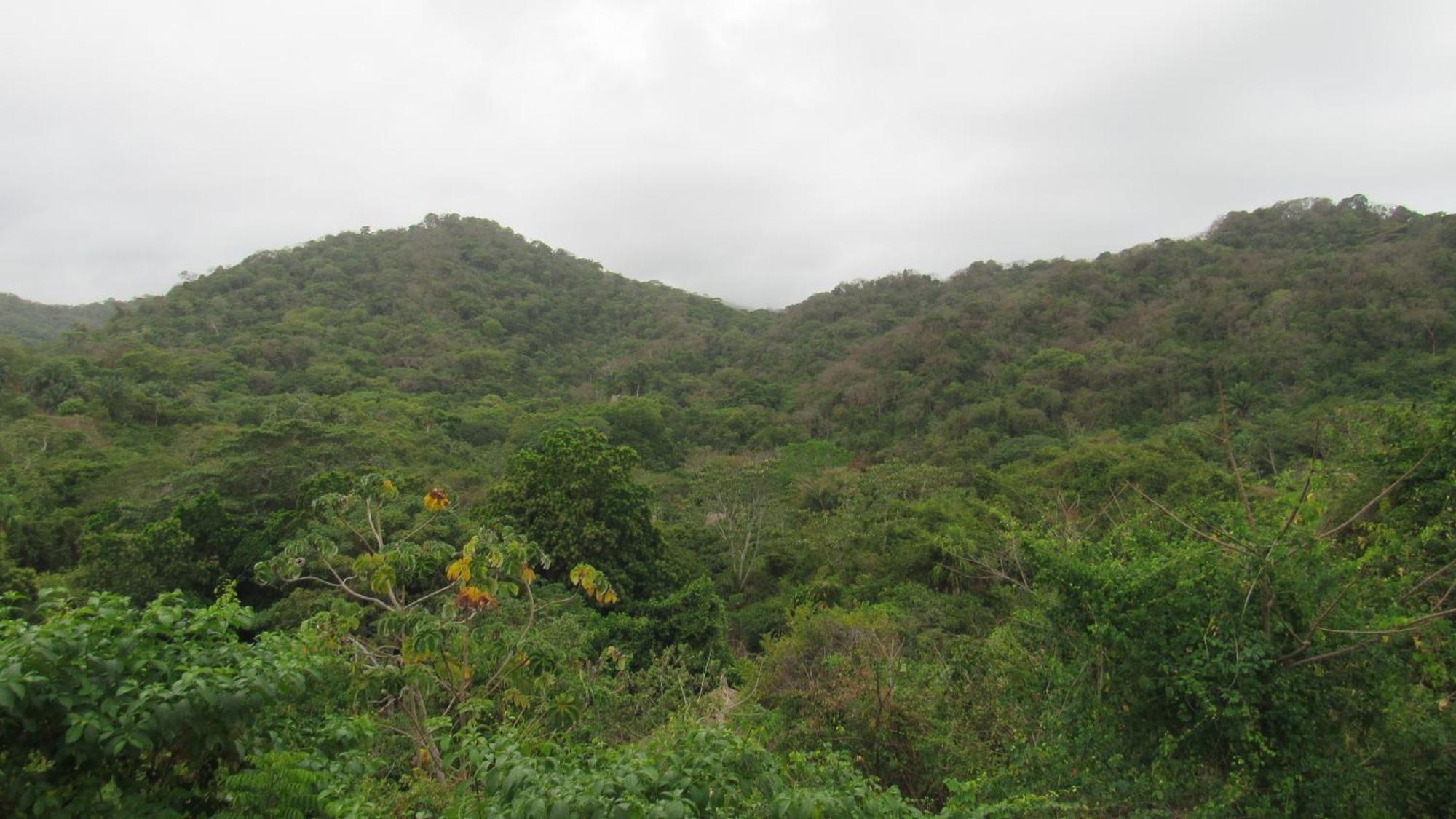 Hostal Mirador Dentro Del Parque Tayrona El Zaino Εξωτερικό φωτογραφία
