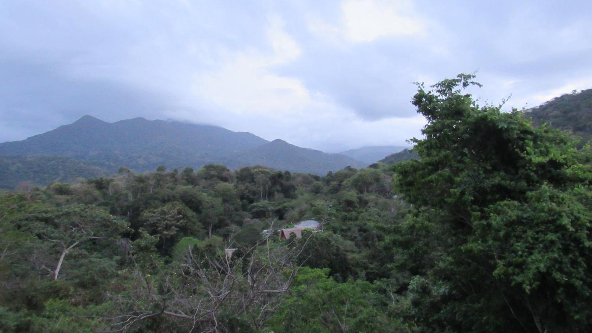 Hostal Mirador Dentro Del Parque Tayrona El Zaino Εξωτερικό φωτογραφία